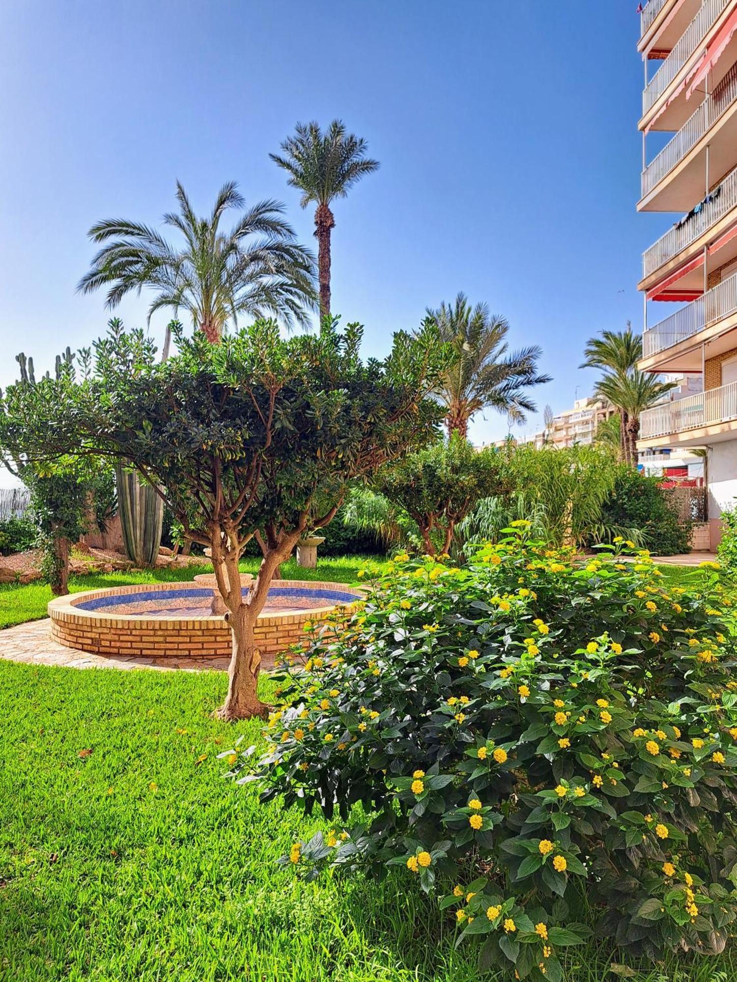 Garden Beach Apartment Torrevieja Extérieur photo